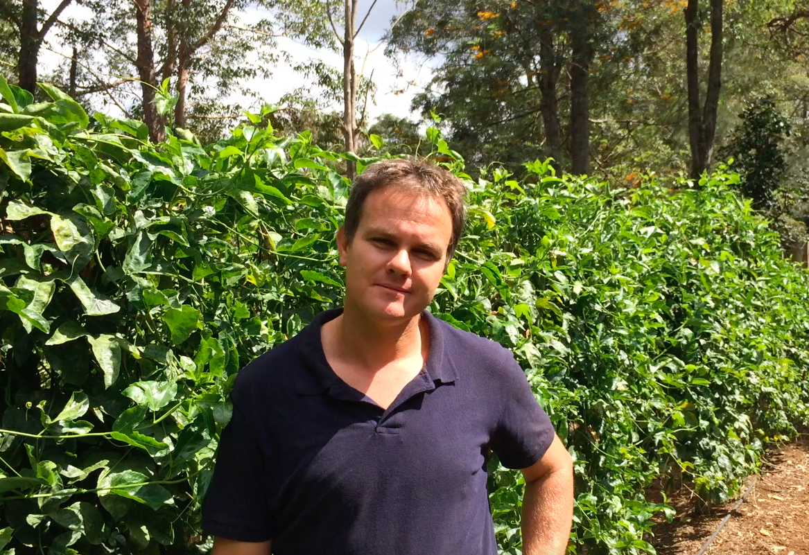 Passionfruit Australia Aussie Passionfruit Growers Passionfruit Australia